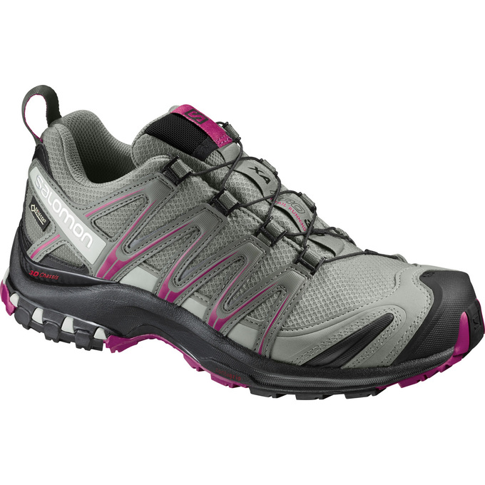 SALOMON XA PRO 3D GTX® W Philippines - Women's Trail Running Shoes - Silver | 145960-MBG